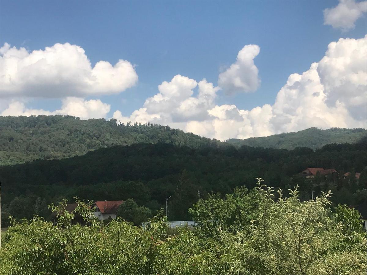 Casa Julius Apart otel Sovata Dış mekan fotoğraf